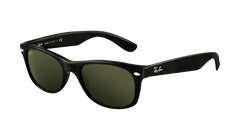 Black (901) Polarized