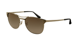 Gunmetal/Polarized Gray Gradient (004/M3)