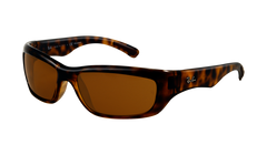 Ray Ban 4160